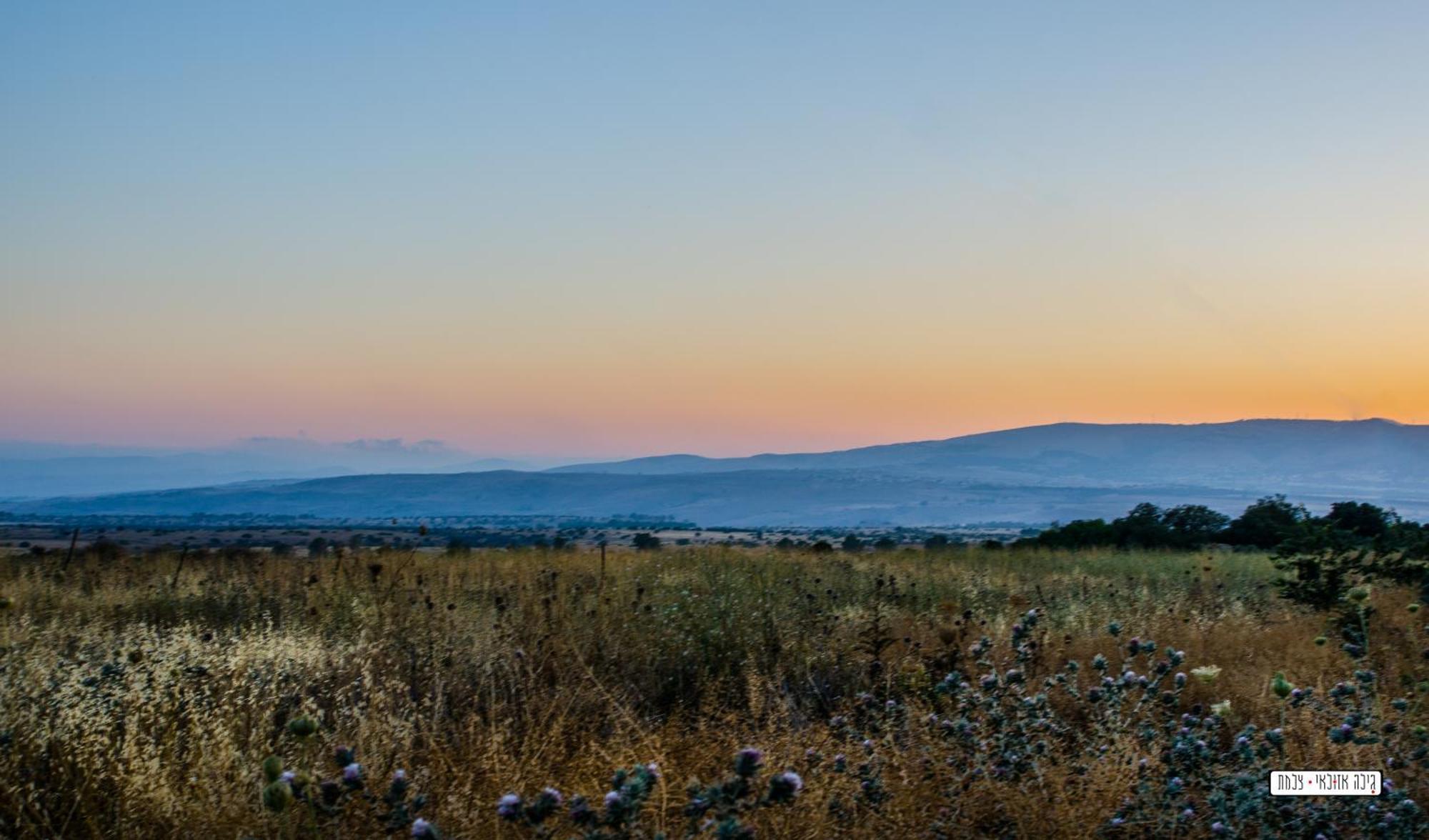 צימרים מעיין קצרין Qaşrīn 外观 照片